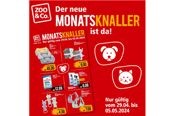 Zoo&Co Monatsknaller
