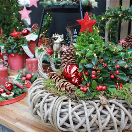 Sonntag geöffnet Sonntag geöffnet