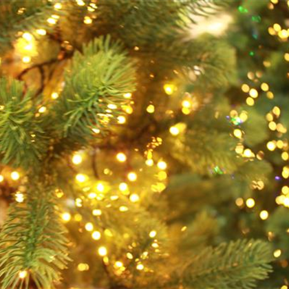 Künstliche Weihnachtsbäume - täuschend echt! Künstliche Weihnachtsbäume - täuschend echt!