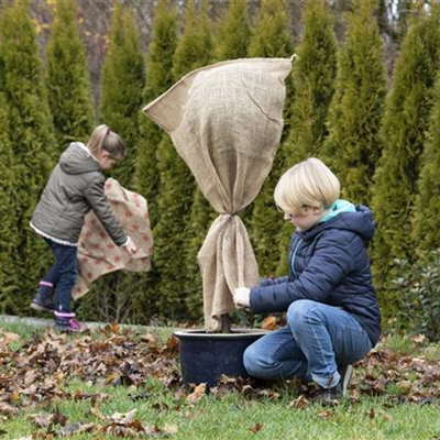 Allgemeine Gartenarbeit im November