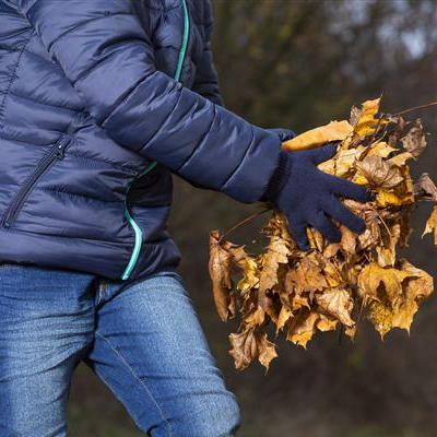 Allgemeine Gartenarbeit im Oktober