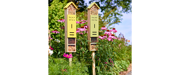 Insektenfreundlicher Ziergarten 