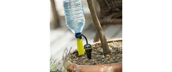 Den Garten richtig Bewässern