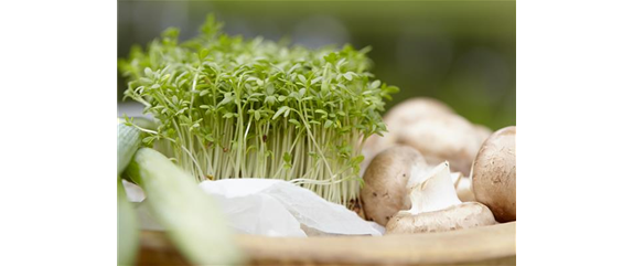 Vitaminbomben auf Brot