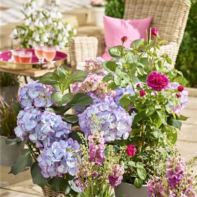 Terrasse & Balkon im Juni