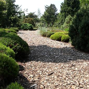 Allgemeine Gartenarbeit im Juli