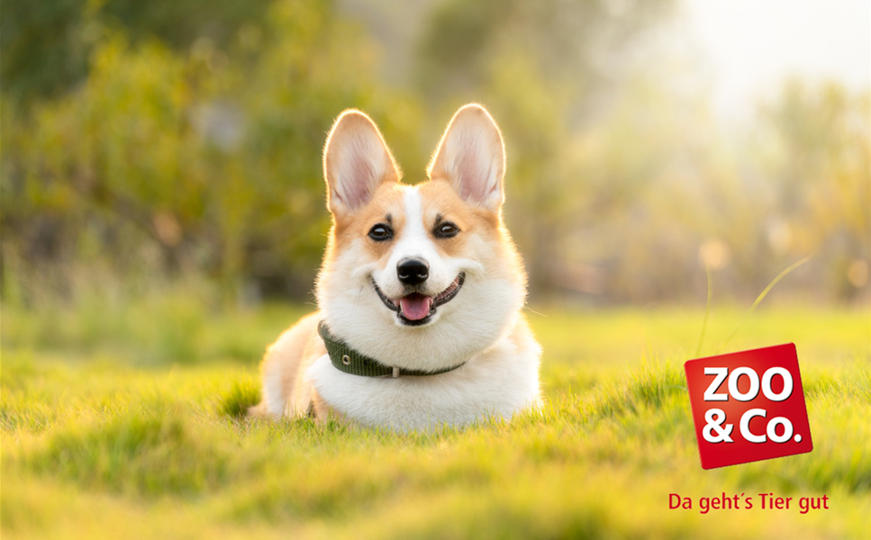 Zoo&Co. in Seevetal - Tierbedarf von A bis Z! Zoo&Co. in Seevetal - Tierbedarf von A bis Z!