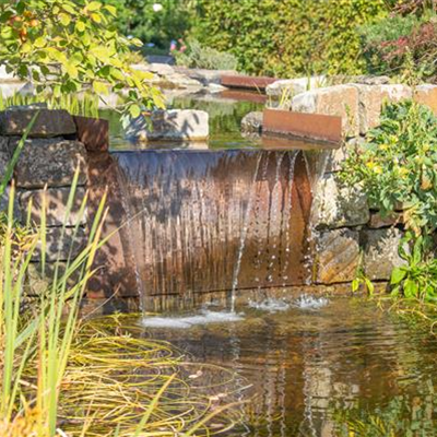 WASSERPFLANZEN FüR DEN GARTENTEICH