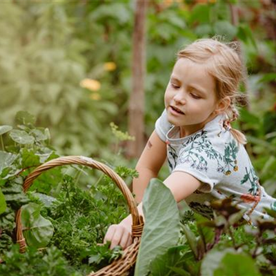 KINDER SPIELERISCH IN DIE ERNTE EINBEZIEHEN