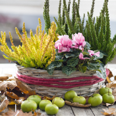 Terrasse & Balkon im November