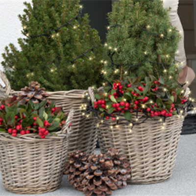 Terrasse & Balkon im Dezember