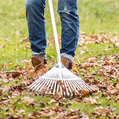 Allgemeine Gartenarbeit im Juli