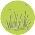 Gartenteich Gartenteich